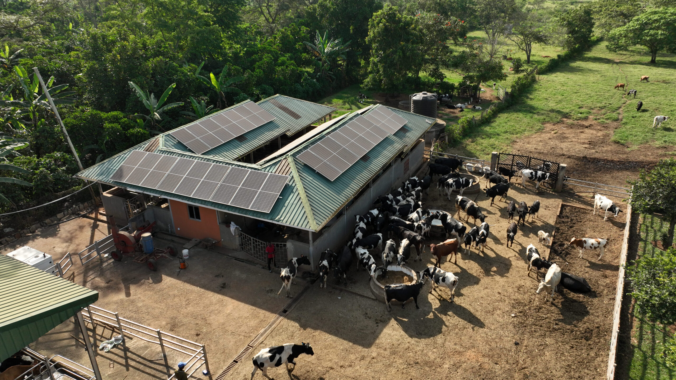 Prime Agro Farm aerial drone view